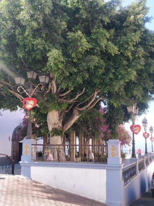 Charming Studio In 塔扎克蒂 外观 照片